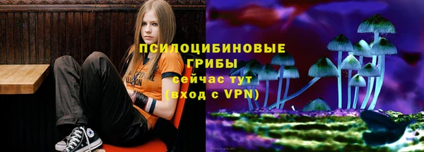 прущая мука Сатка